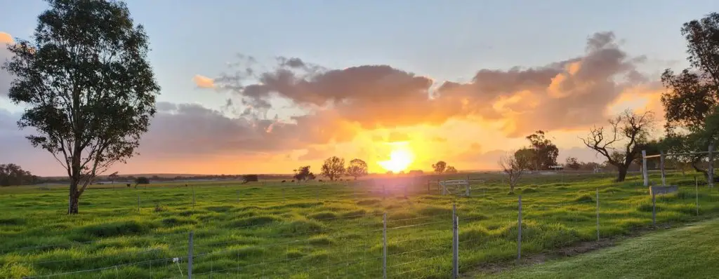 Adam Shields Realty | Banner