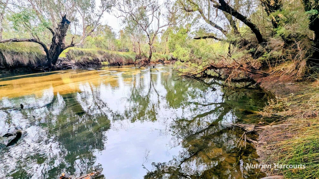 Adam Shields Realty | Lot 1389 Orange Springs Road, Orange Springs GINGIN WA