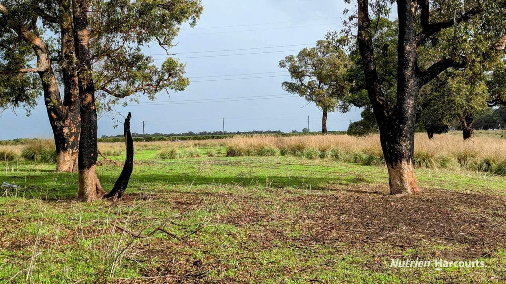 Adam Shields Realty | Lot 1389 Orange Springs Road, Orange Springs GINGIN WA