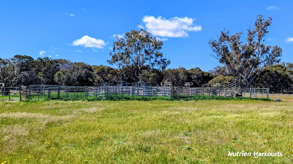 Adam Shields Realty | Lot 53 Cowalla Road COWALLA WA