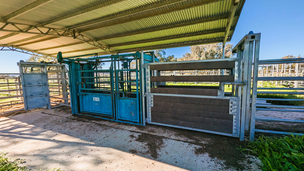 Adam Shields Realty | 245 Bootine Road BEERMULLAH WA