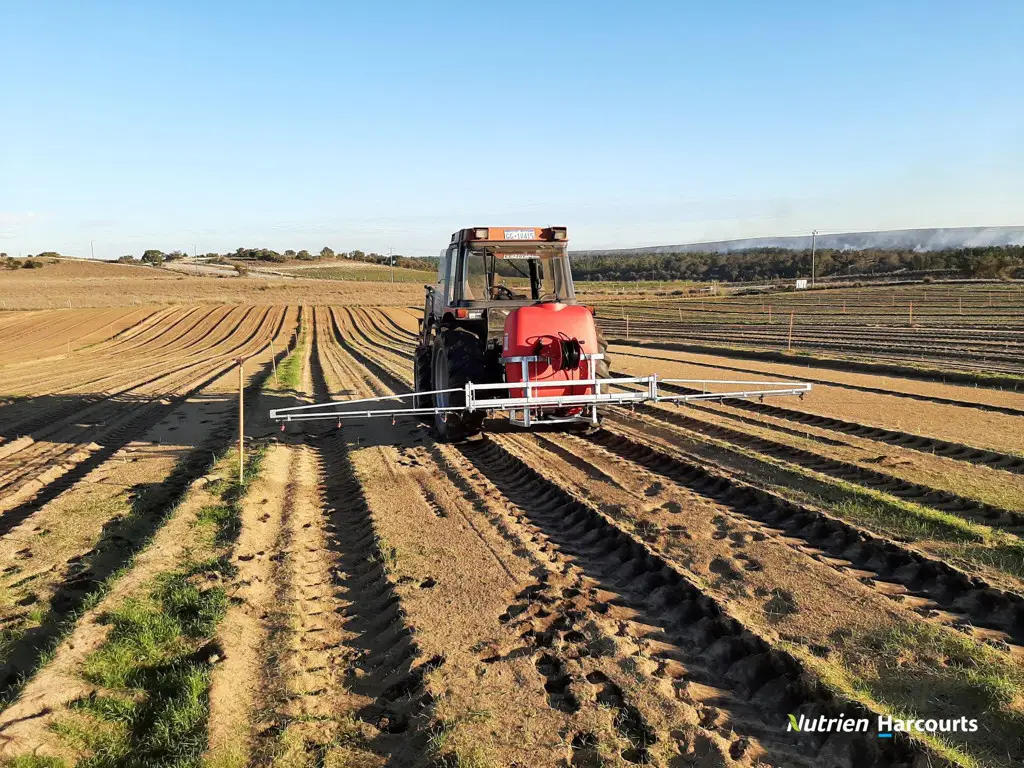 Adam Shields Realty | Lot 250 Nabaroo Road COWALLA WA