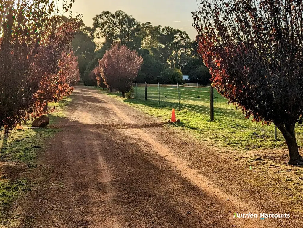 Adam Shields Realty | 131 Ashton Road BULLSBROOK WA