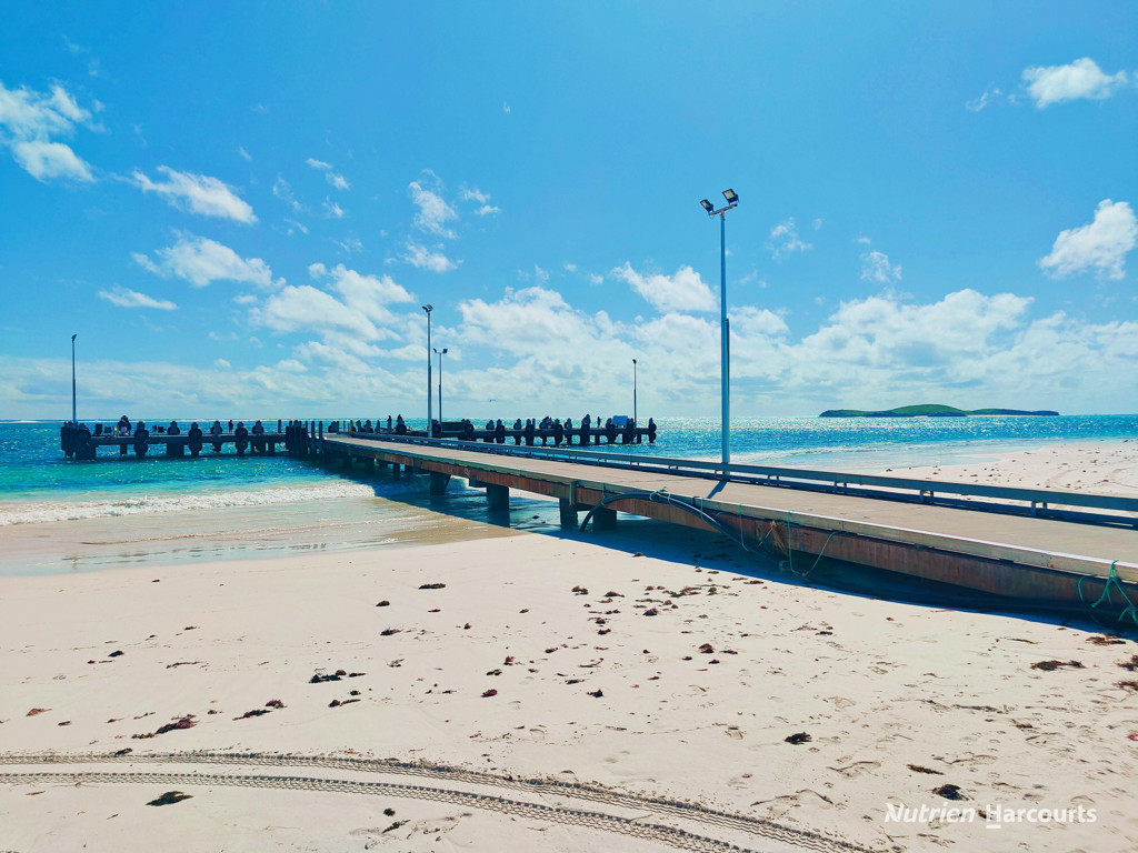 Adam Shields Realty | Lot 233 Bottlebrush Road NILGEN WA