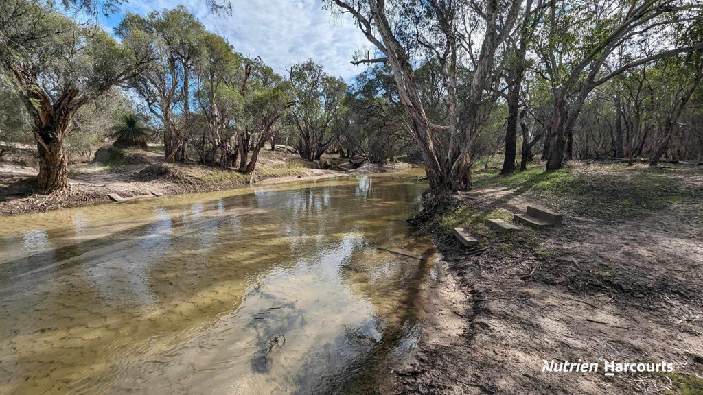 Adam Shields Realty | 1196 Bennies Road WANERIE WA