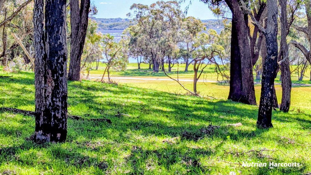 Adam Shields Realty | Lot 53 Cowalla Road COWALLA WA