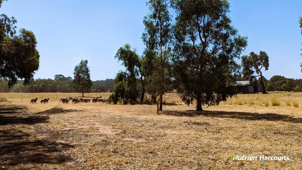 Adam Shields Realty | 125 Dewar Road GRANVILLE WA