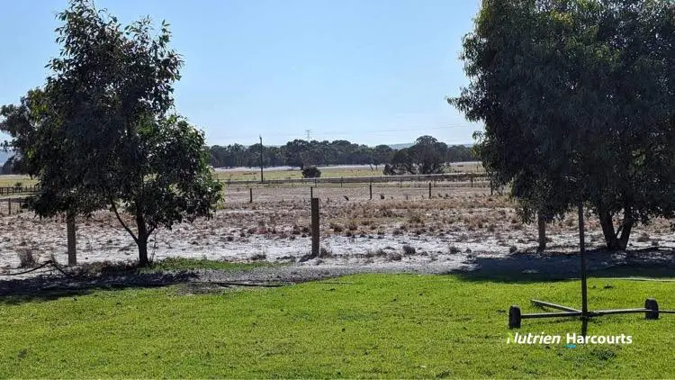 Adam Shields Realty | 719 Gingin Brook Road MUCKENBURRA WA