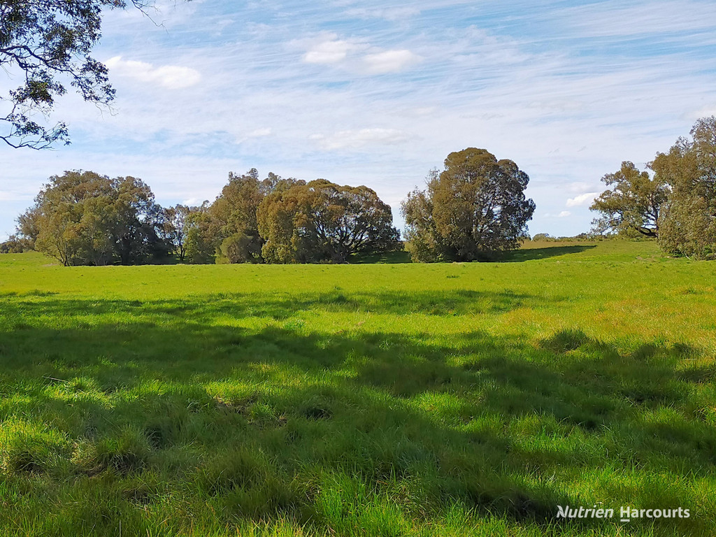 Adam Shields Realty | Lot 7 Orange Springs Road COWALLA WA