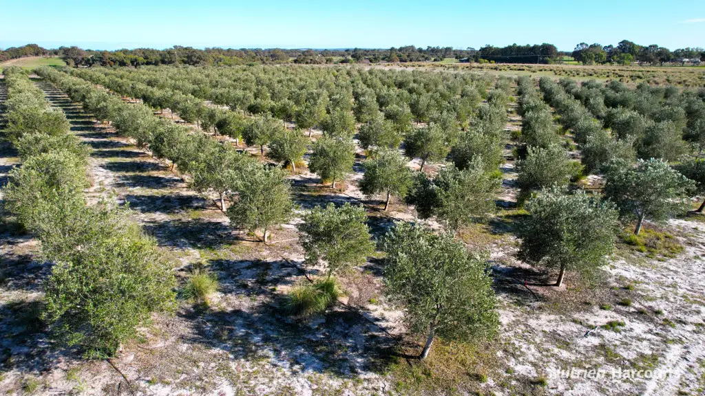 Adam Shields Realty | Lot 45 Gingin Brook Road MUCKENBURRA WA