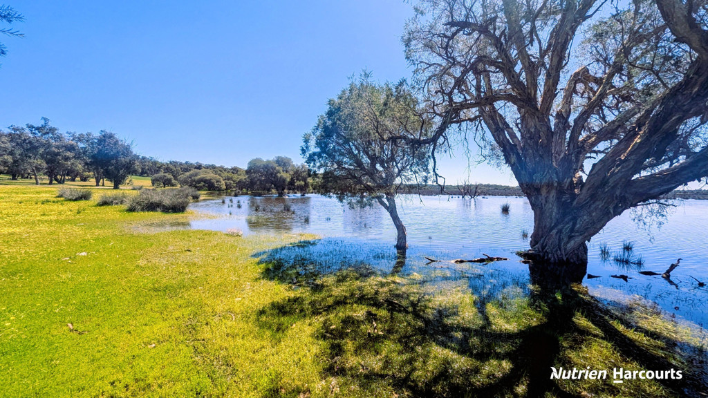 Adam Shields Realty | Lot 52 Cowalla Road COWALLA WA