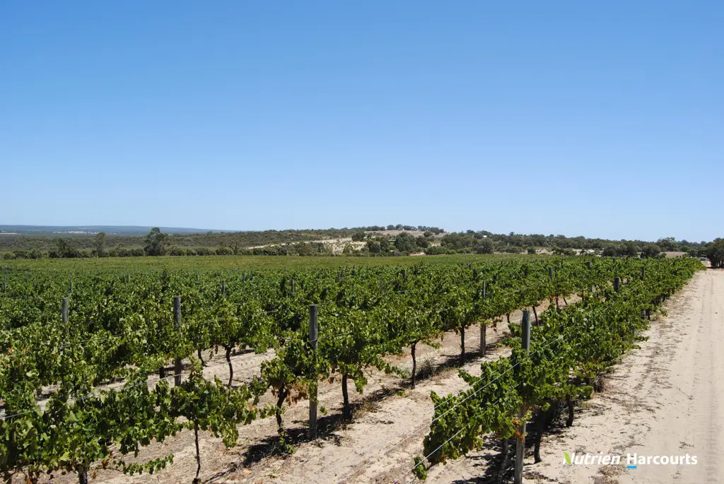 Adam Shields Realty | 85 Caladenia Road Wanerie GINGIN WA