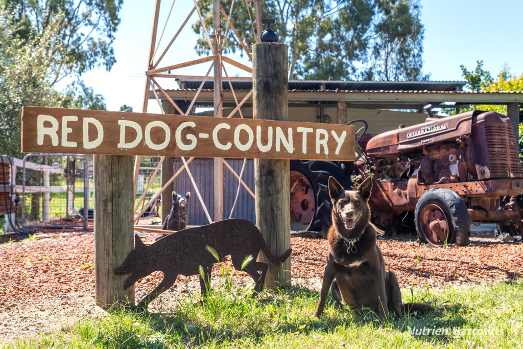 Adam Shields Realty | 38 St Andrews Court WOODRIDGE WA
