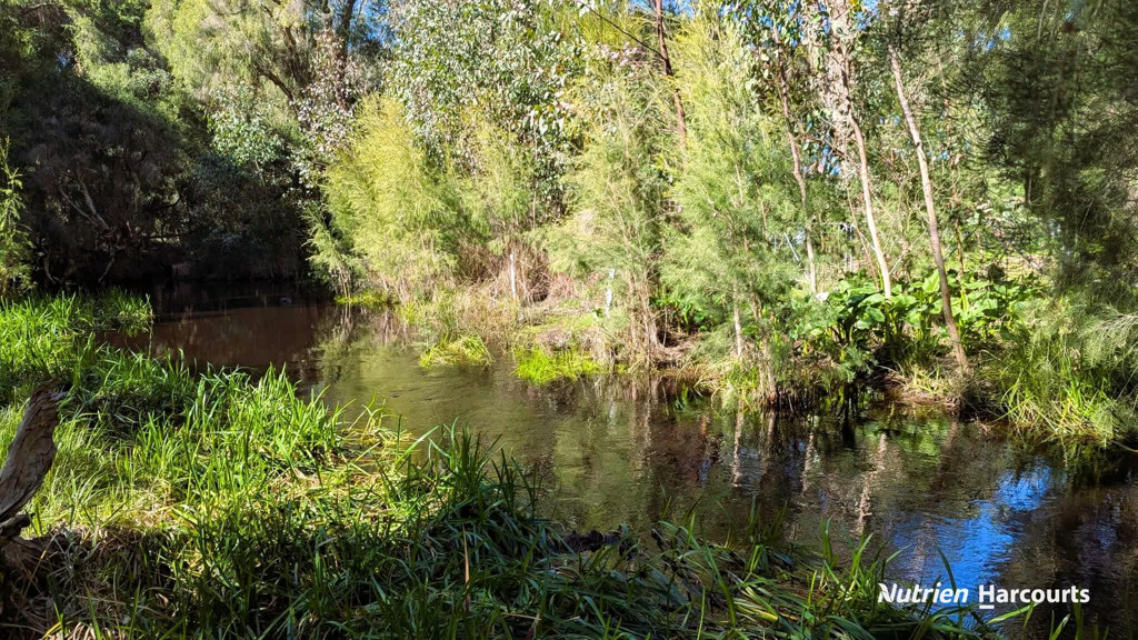 Adam Shields Realty | 5 Fraser Street GINGIN WA