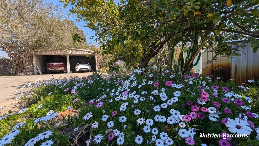 Adam Shields Realty | 328 Nabaroo Road COWALLA WA