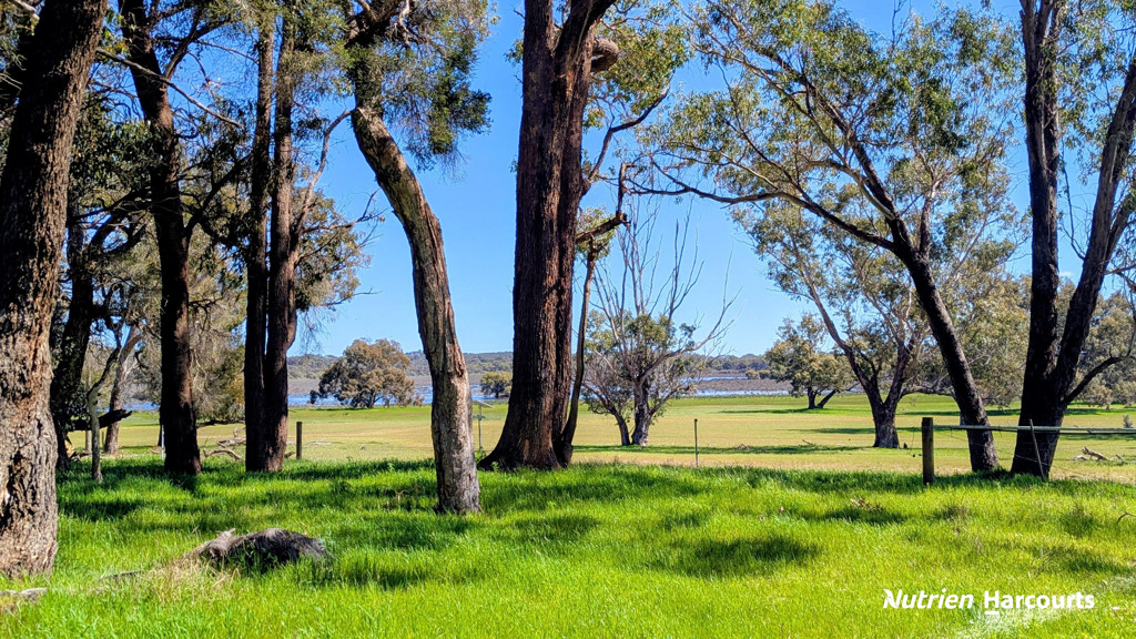 Adam Shields Realty | Lot 53 Cowalla Road COWALLA WA