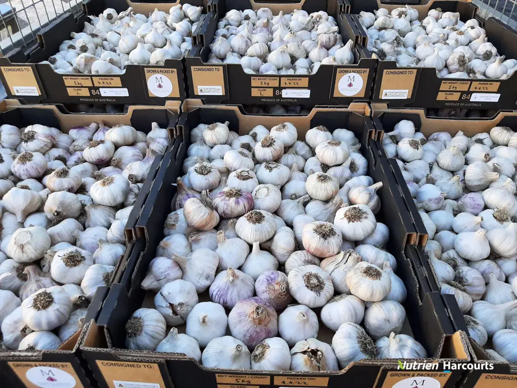 Adam Shields Realty | Lot 250 Nabaroo Road COWALLA WA