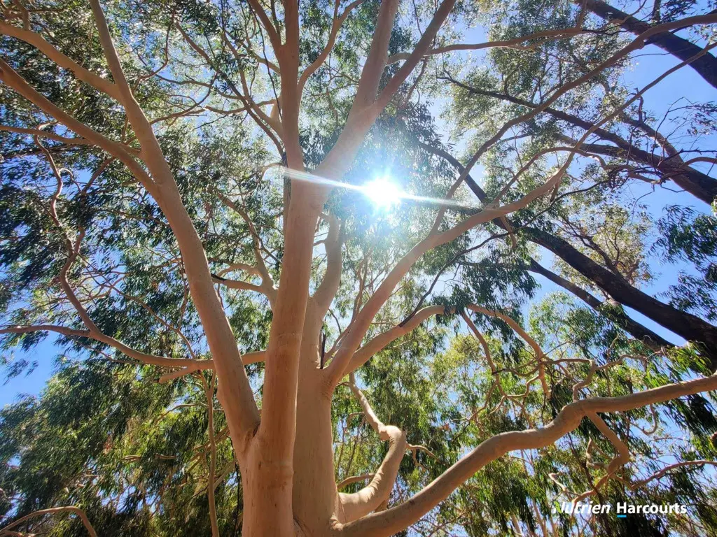 Adam Shields Realty | Lot 3, 40 Lefroy Street GINGIN WA