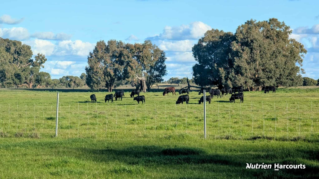 Adam Shields Realty | Lot 2 Orange Springs Road COWALLA WA