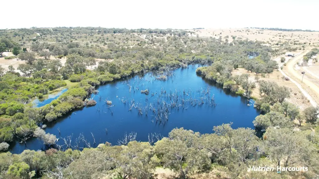 Adam Shields Realty | 287 Wanerie Road, Wanerie GINGIN WA