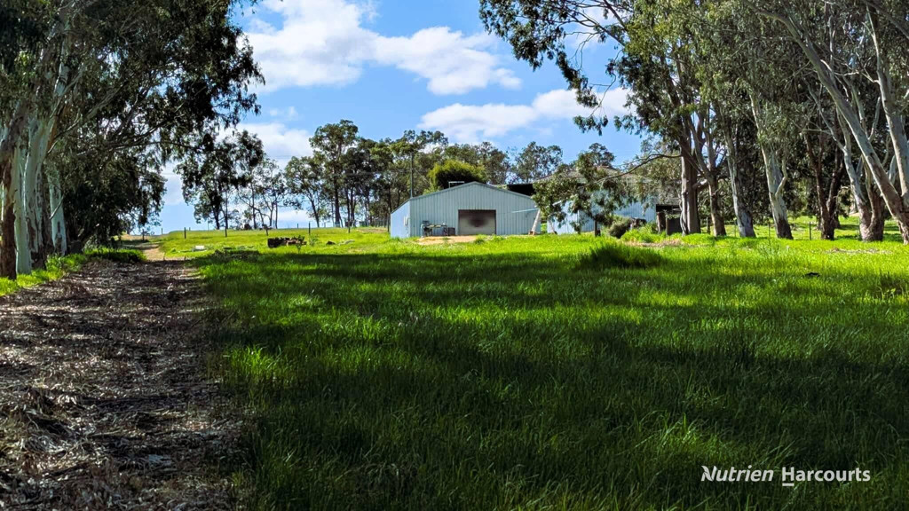 Adam Shields Realty | 72 Robinson Street GINGIN WA