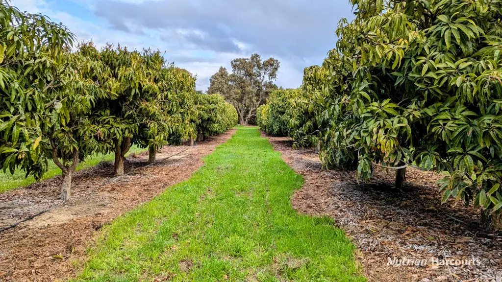 Adam Shields Realty | 1358 Cowalla Road WANERIE WA