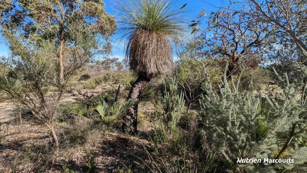 Adam Shields Realty | 151 Woolly Bush Loop WOODRIDGE WA