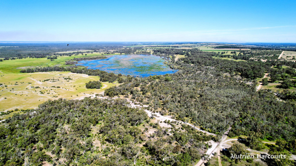 Adam Shields Realty | Lot 51 Millbank Road COWALLA WA