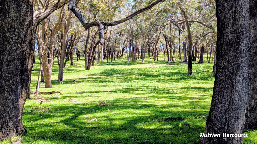 Adam Shields Realty | Lot 53 Cowalla Road COWALLA WA