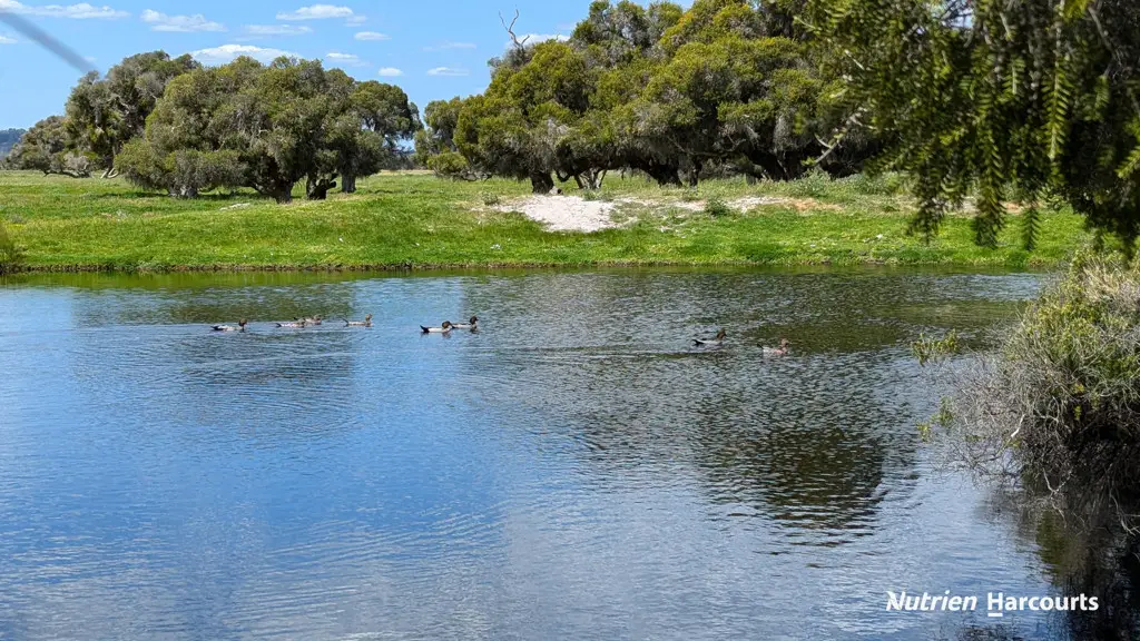 Adam Shields Realty | 139 Coonabidgee Road COONABIDGEE