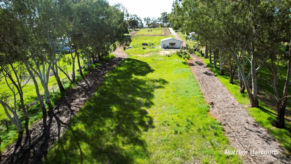 Adam Shields Realty | 72 Robinson Street GINGIN WA