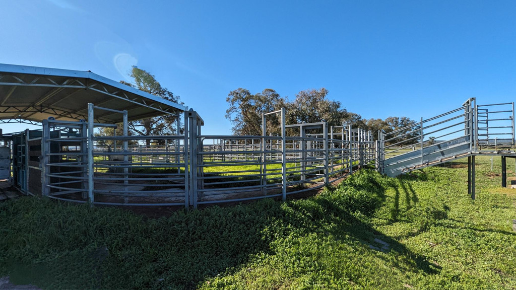 Adam Shields Realty | 245 Bootine Road BEERMULLAH WA