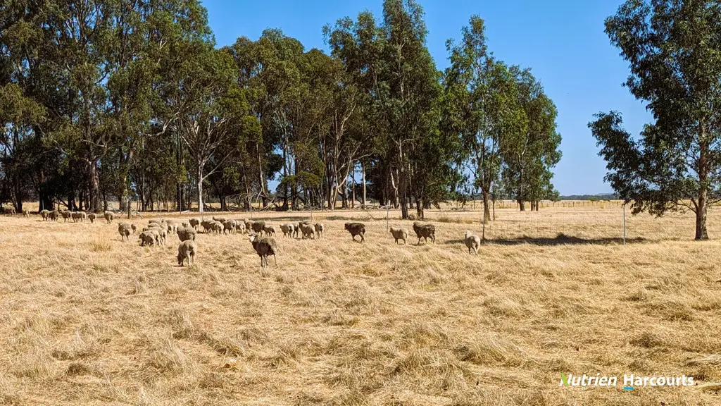 Adam Shields Realty | 125 Dewar Road GRANVILLE WA