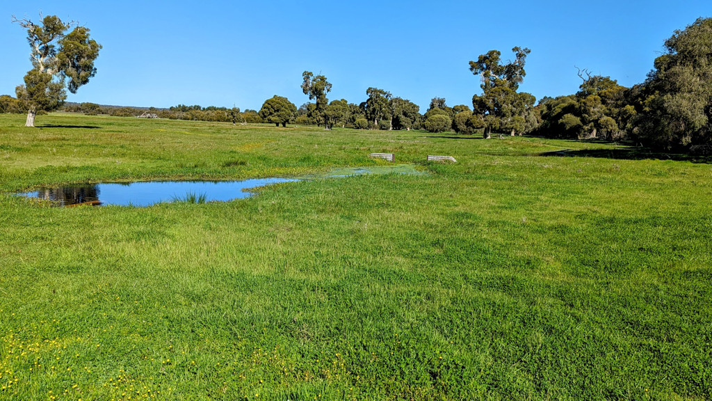 Adam Shields Realty | 1298 Brand Highway CHITTERING WA