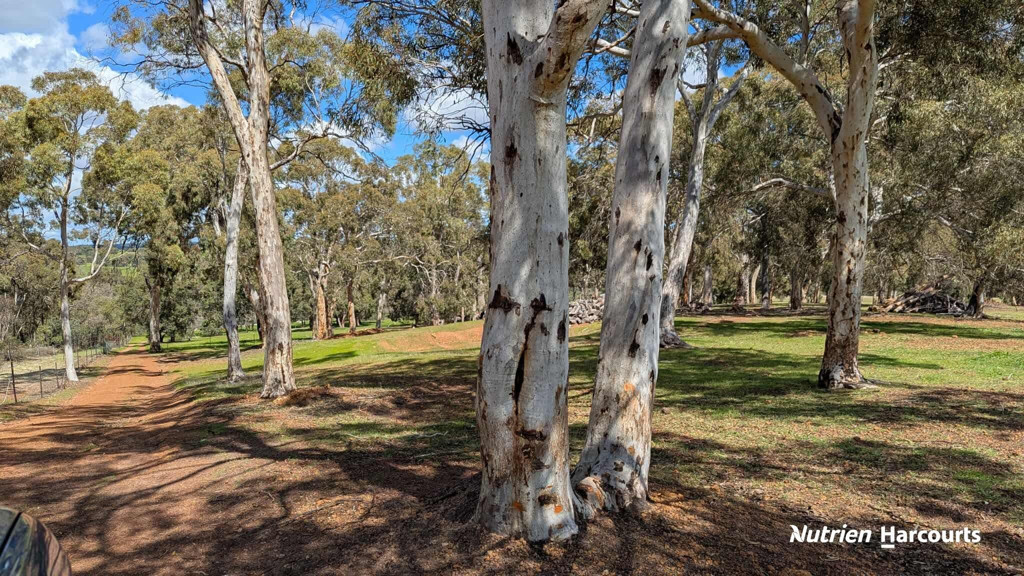 Adam Shields Realty | Lot 11 Woodbine Road REGANS FORD WA