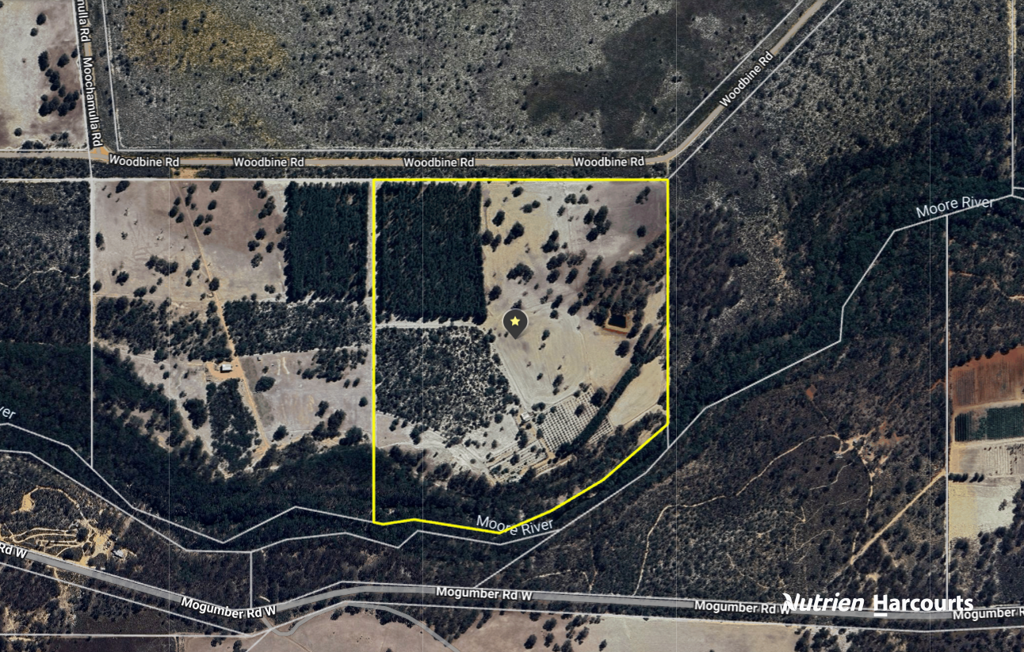 Adam Shields Realty | Lot 11 Woodbine Road REGANS FORD WA