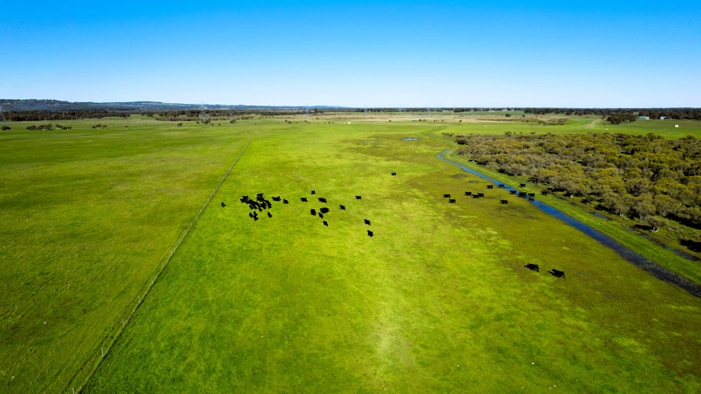 Adam Shields Realty | 245 Bootine Road BEERMULLAH WA