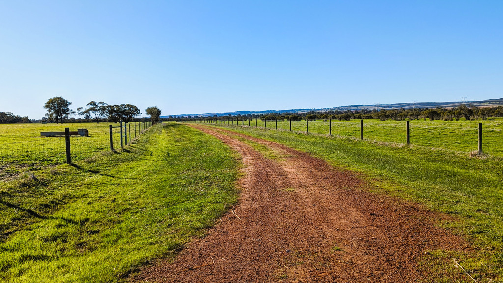 Adam Shields Realty | 245 Bootine Road BEERMULLAH WA