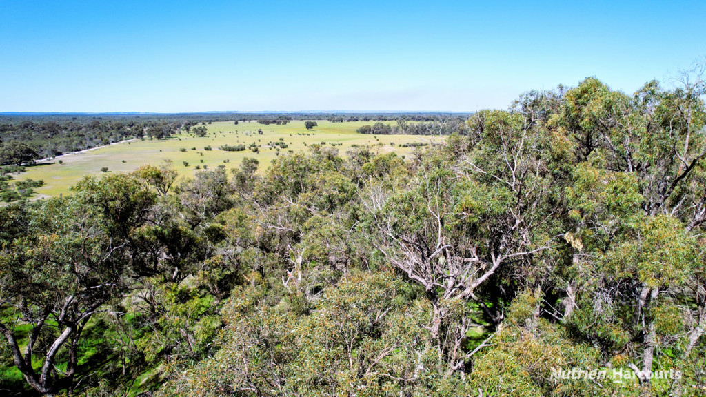 Adam Shields Realty | Lot 51 Millbank Road COWALLA WA