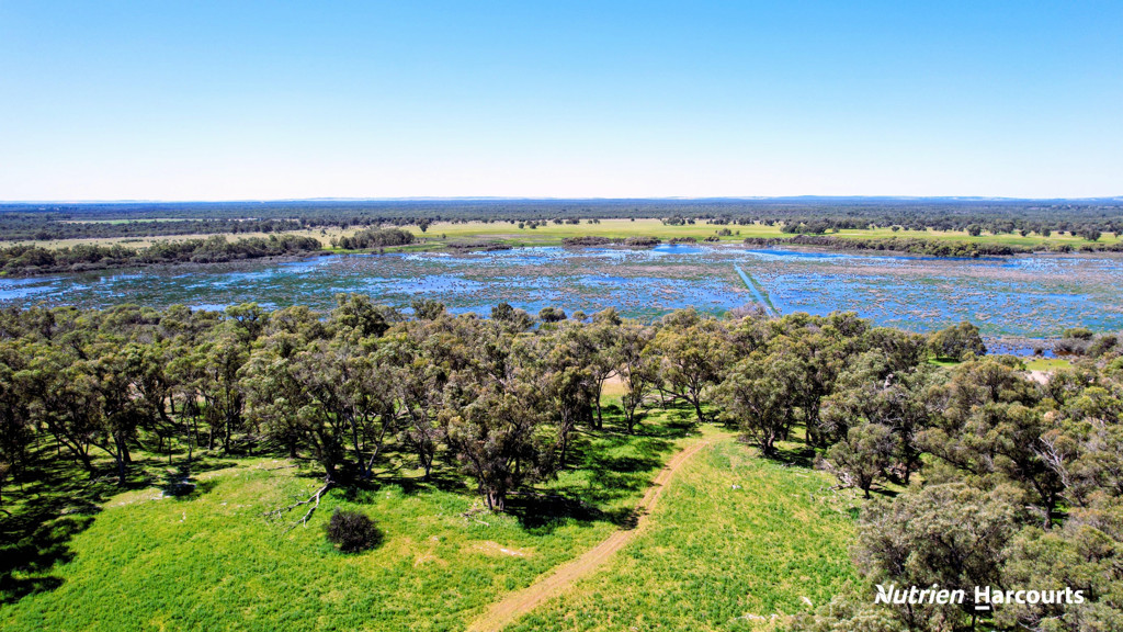 Adam Shields Realty | Lot 52 Cowalla Road COWALLA WA