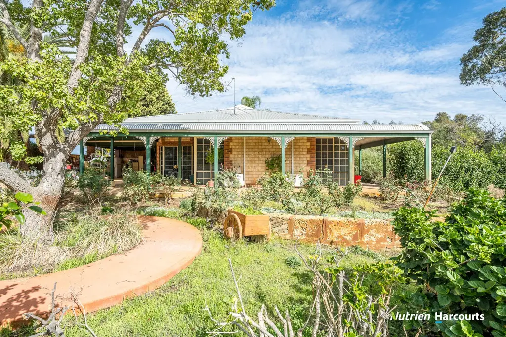 Adam Shields Realty | 1196 Bennies Road WANERIE WA