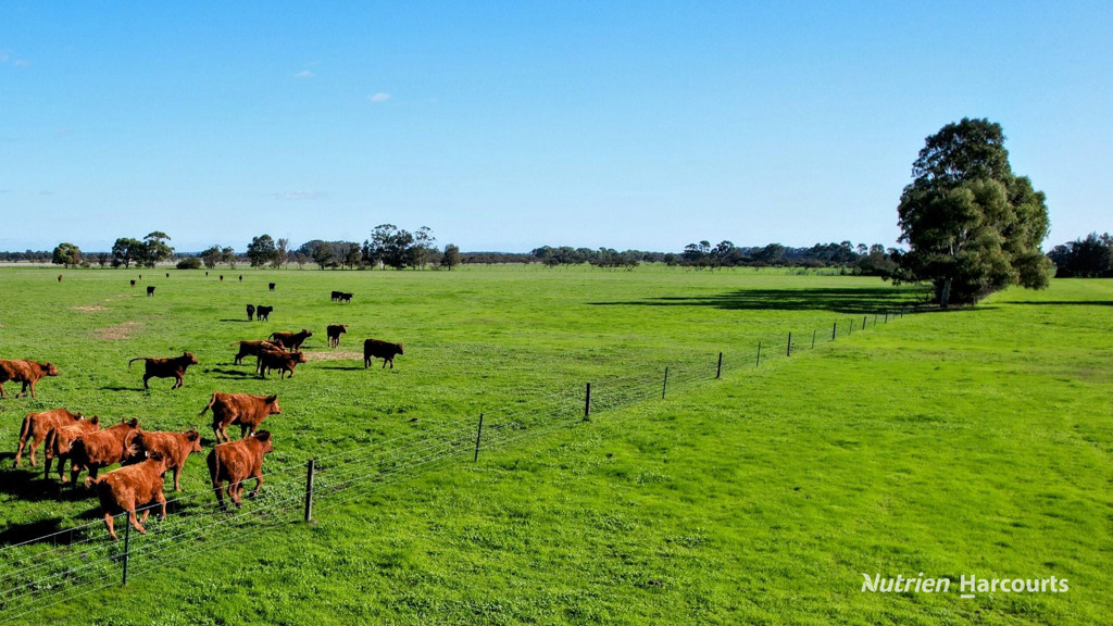 Adam Shields Realty | 271 Mayfield Road (Beermullah) GINGIN WA