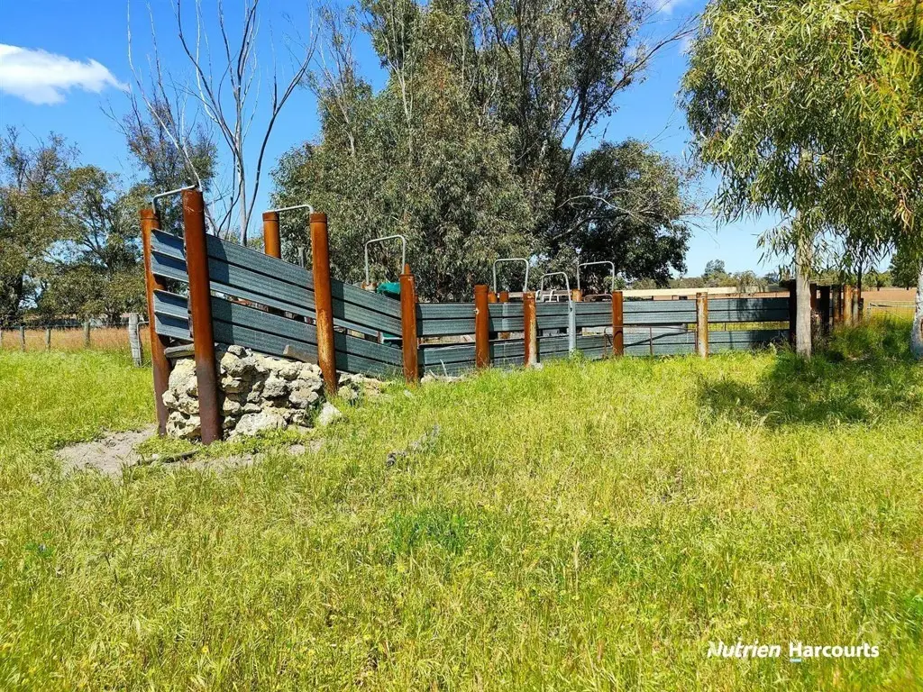 Adam Shields Realty | 287 Wanerie Road, Wanerie GINGIN WA