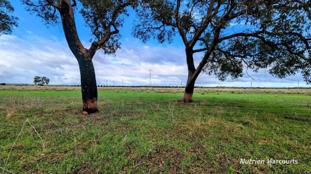 Adam Shields Realty | Lot 1389 Orange Springs Road, Orange Springs GINGIN WA