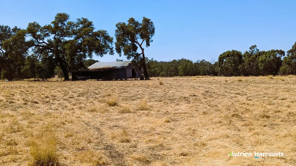 Adam Shields Realty | 125 Dewar Road GRANVILLE WA