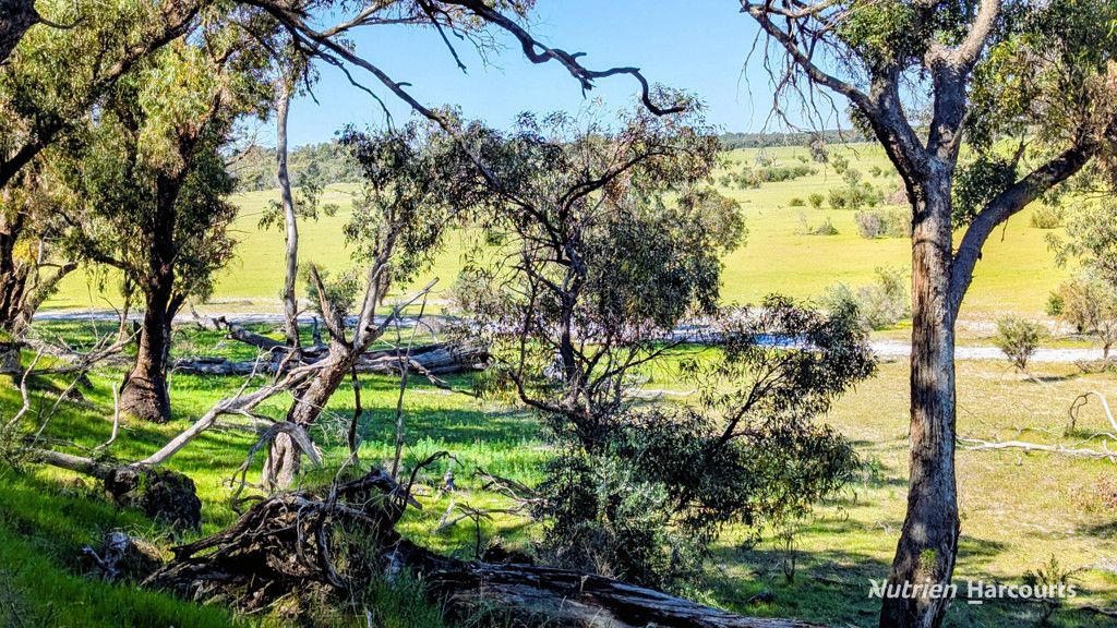 Adam Shields Realty | Lot 51 Millbank Road COWALLA WA