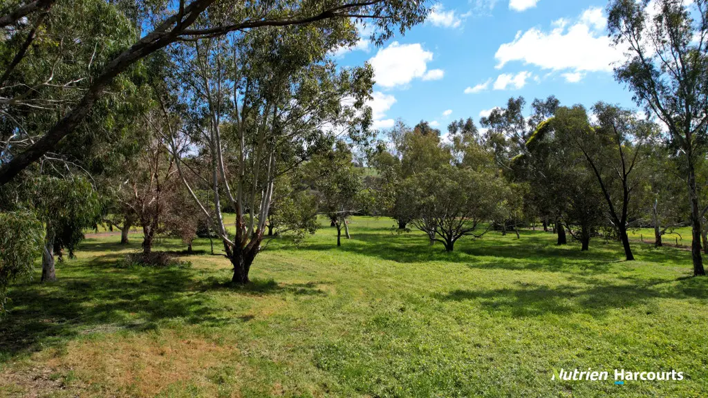 Adam Shields Realty | Lot 3, 40 Lefroy Street GINGIN WA
