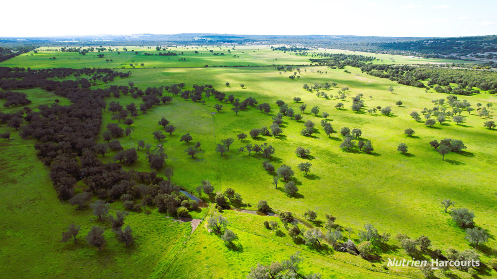 Adam Shields Realty | 1298 Brand Highway CHITTERING WA