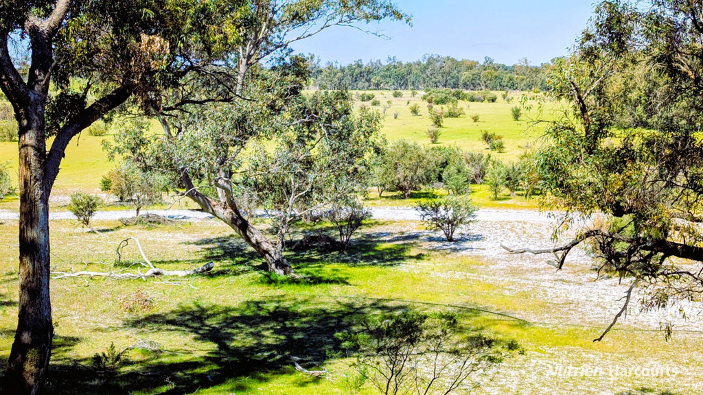 Adam Shields Realty | Lot 51 Millbank Road COWALLA WA