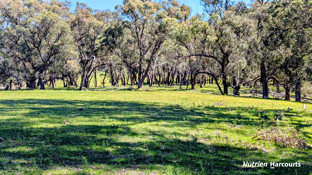 Adam Shields Realty | Lot 53 Cowalla Road COWALLA WA